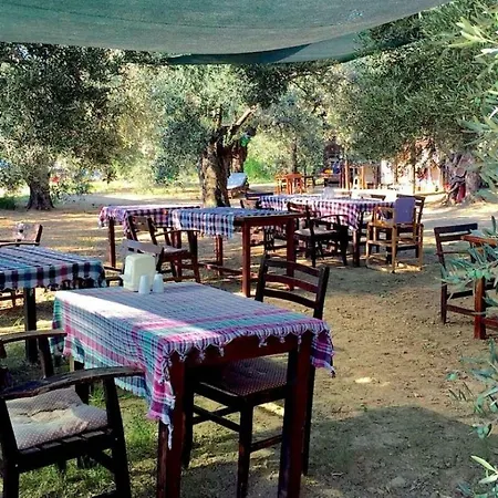 Hotel Oiki Beachcamp