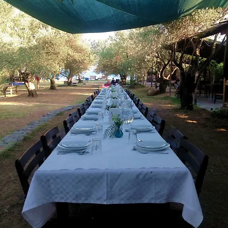 Oiki Beachcamp Hotel