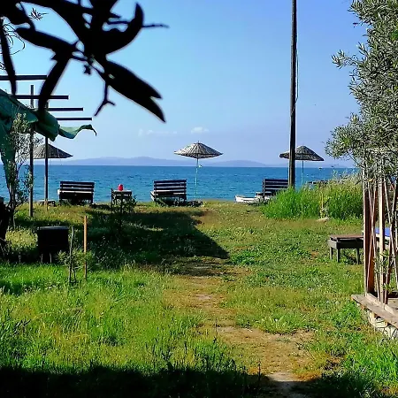 Oiki Beachcamp Otel Küçükkuyu