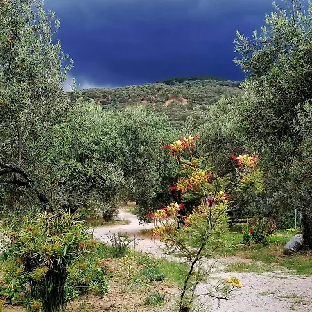 Oiki Beachcamp Küçükkuyu