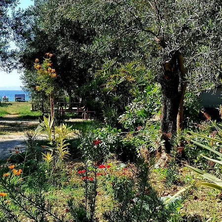 Oiki Beachcamp Kucukkuyu