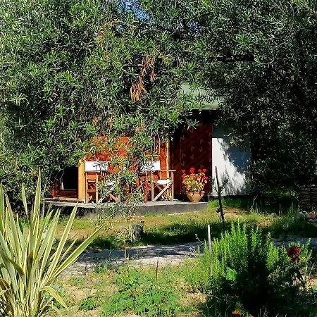 Oiki Beachcamp