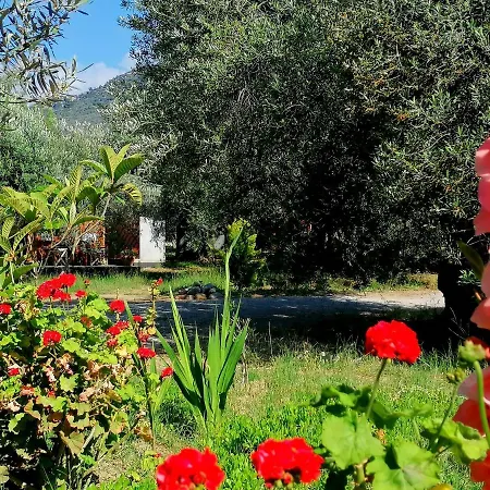Oiki Beachcamp Otel Küçükkuyu